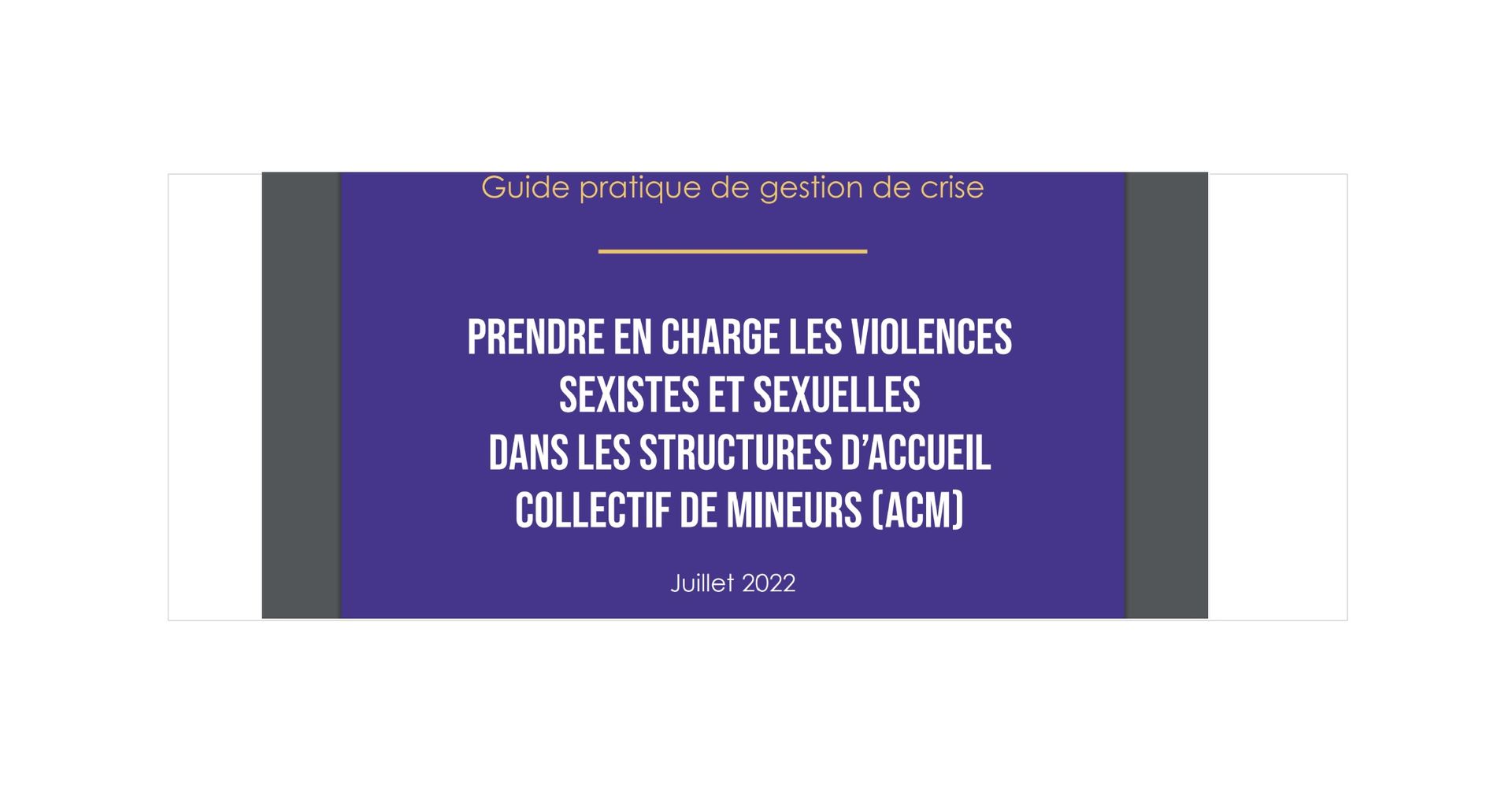 Guide Pratique Prendre En Charge Les Violences Sexistes Et Sexuelles Dans Les Structures D 3096